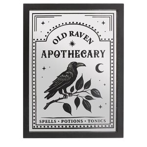 Vintage Raven Apothecary Mirror Wall Art - Gothic Home Decor