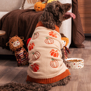 Pumpkin Dog Jumper