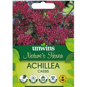 Marshalls Garden Achillea 'Cassis' Seeds, 60 Pack - Red Yarrow Perennial, 100 cm