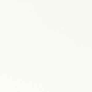  shot 13912994