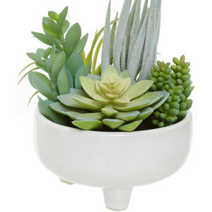 Fiori Mixed Succulents In Large Ceramic Pot