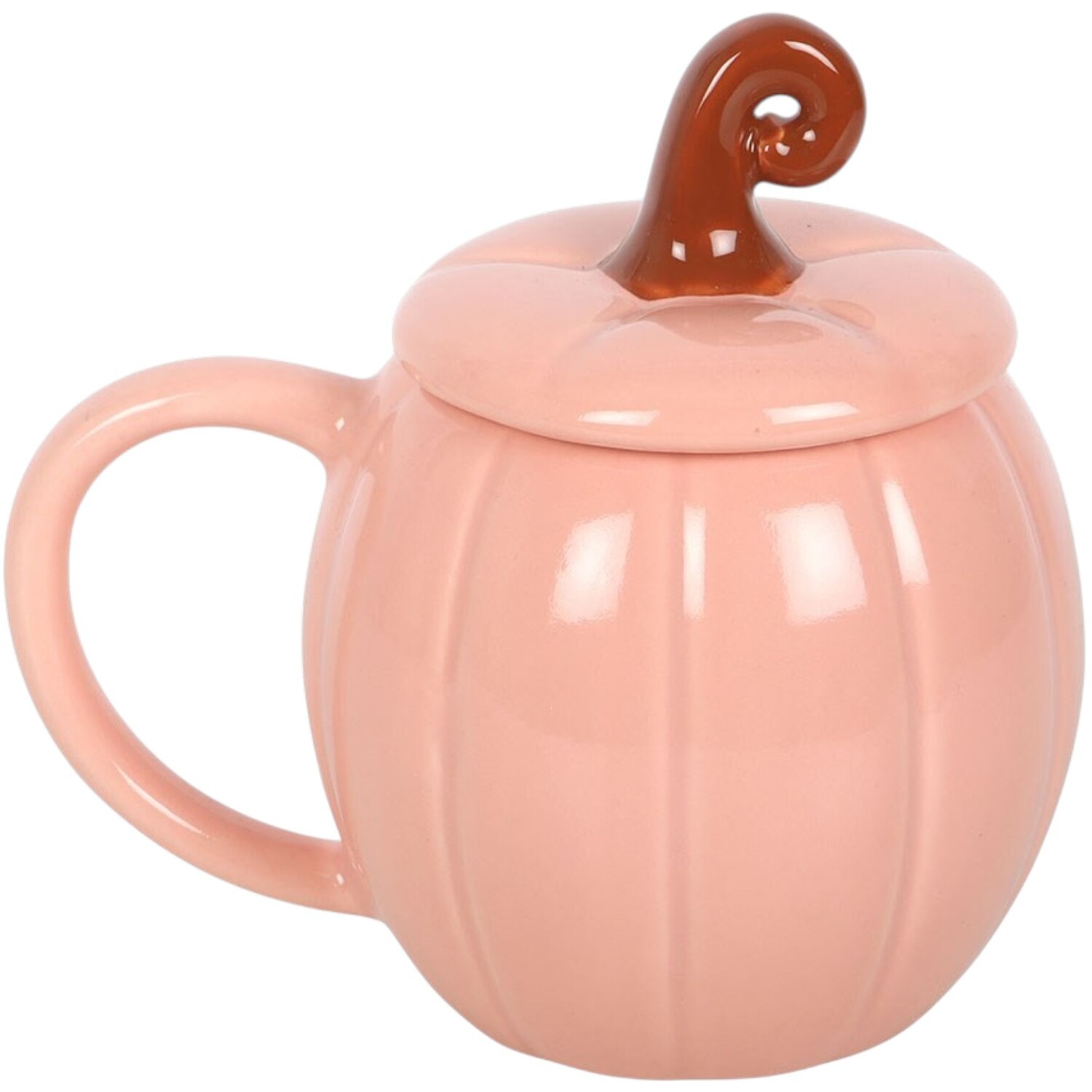 Curly Pumpkin Lidded Mug