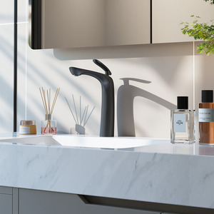 Darphe Contemporary High Arc Basin Mixer Tap