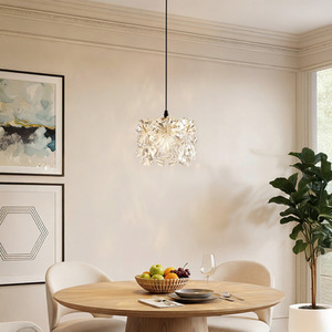 Contemporary Iron Pendant Lamp with Glass Shade