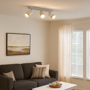  shot 17987529