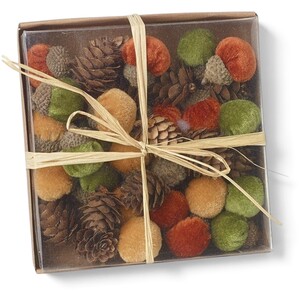 Multicoloured Acorn and Pinecone Autumnal Decoration Set
