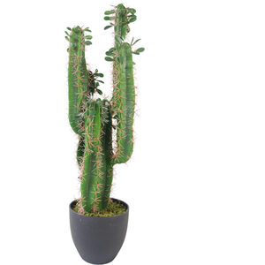 Premium Artificial Cactus pot