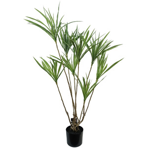 Dragon Tree Dracaena Plant Natural Look Artificial