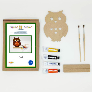 Paint Your Own Owl Kit