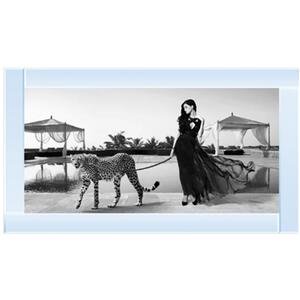 Woman with Cheetah Glitter Liquid Wall Art Dcor