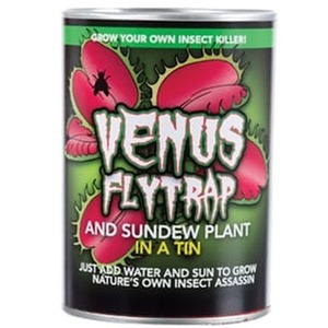 Venus Fly Trap in a Tin