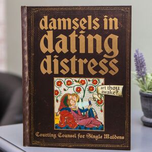 Damsels in Dating Distress  Book