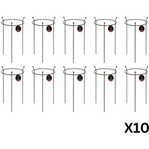 10 Pack of Small Heavy Duty Garden Plant Supports