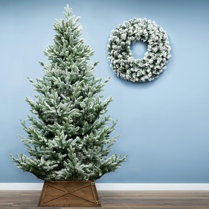 The Frosted Ultra Mountain Pine