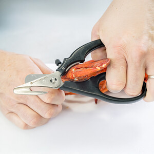 MasterClass Seafood Shears