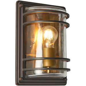 Rico Outdoor Wall Light with Brass Accents
