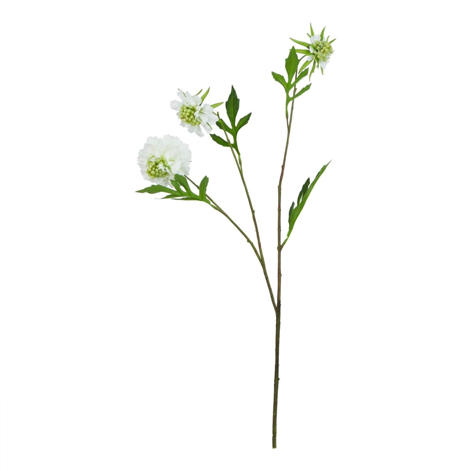 Set of 3 Scabious Artificial Stems - White