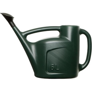 6L Watering Can Rose Head Outdoor Water Can 2 Pack