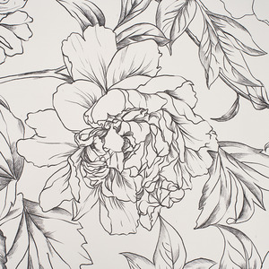  shot 20109659