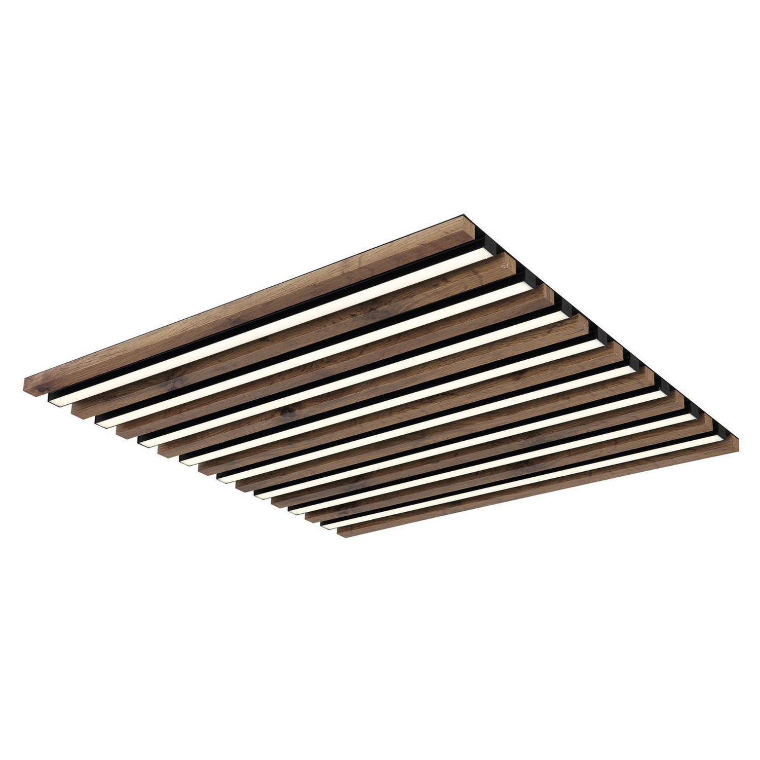 Globo Lighting Hayden Ceiling Light Black