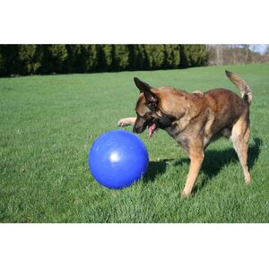  shot 2293628