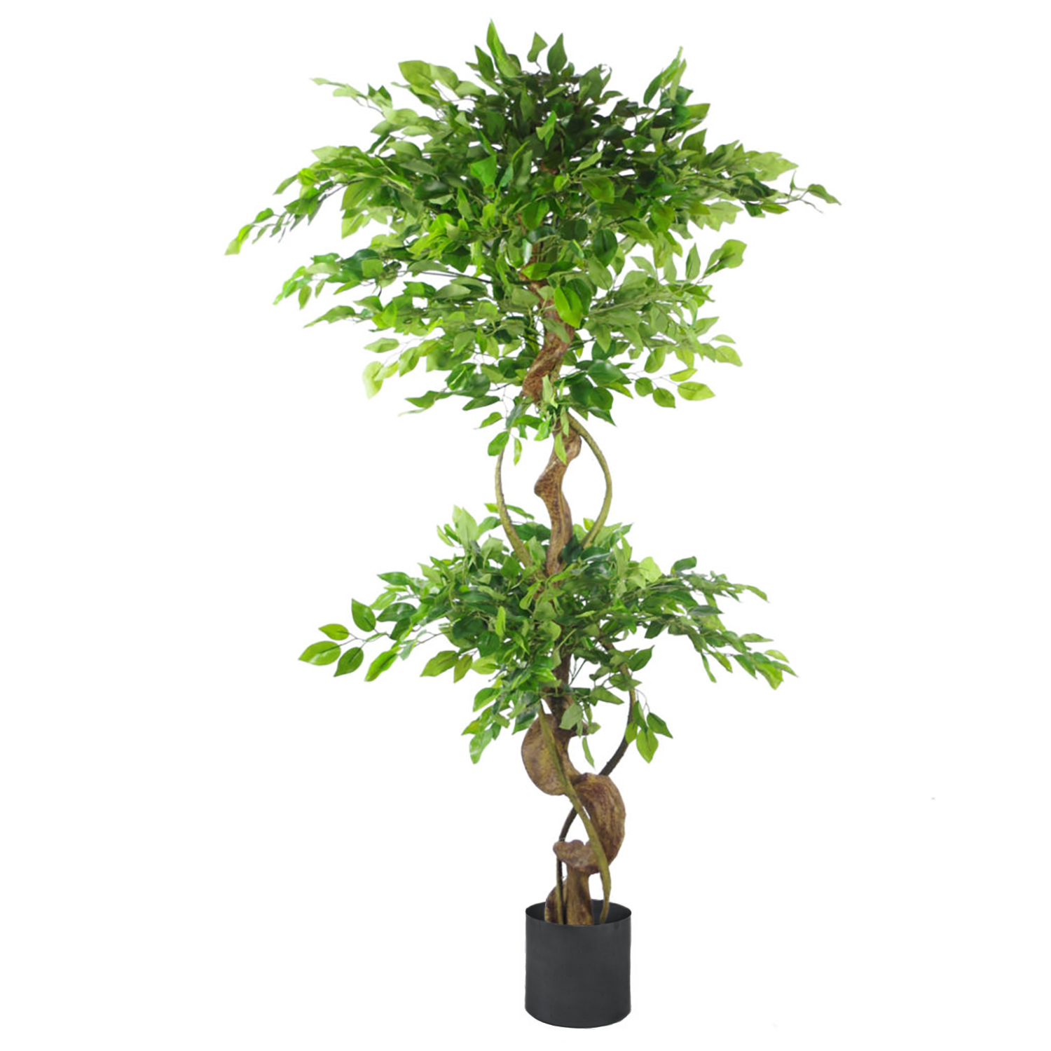 150cm Artificial Japanese Fruticosa Ficus Tree Twisted Trunk Black Planter - Image 6