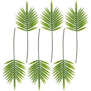 Pack of 6 x Green Palm Leaf