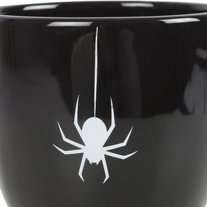 Black Black Spider Teacup shot 5746928