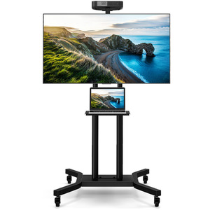 Portable Television Stand