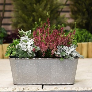 Steel Effect Trough