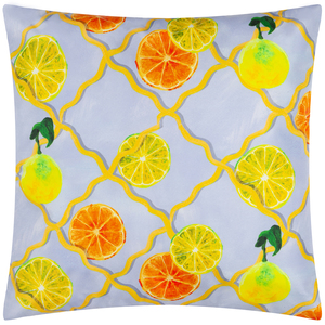 Citrus Trellis Outdoor Cushion