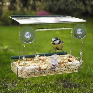 Window Bird Feeder With 1 Kilogram Bag of Bird Food