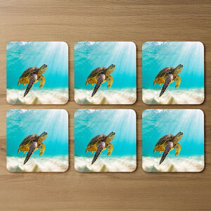 photo of Sea turtle in the Galapagos island Designer Coaster Set