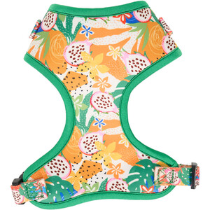 Jungle Fruits Dog Harness