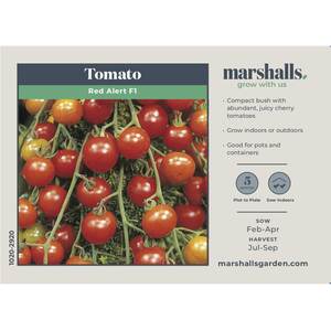 Marshalls Garden Red Alert F1 Extra-Early Bush Cherry Tomato Seeds - Pack of 25