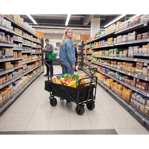 Collapsible Wagon with Canopy