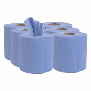 6 Pack Blue 2-Ply Centrefeed Roll 300 Sheet Paper Towel
