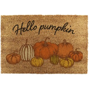  shot 17569909