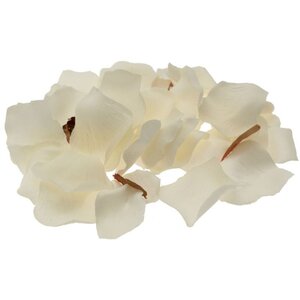 Cream Rose Petal Confetti 3 Pack