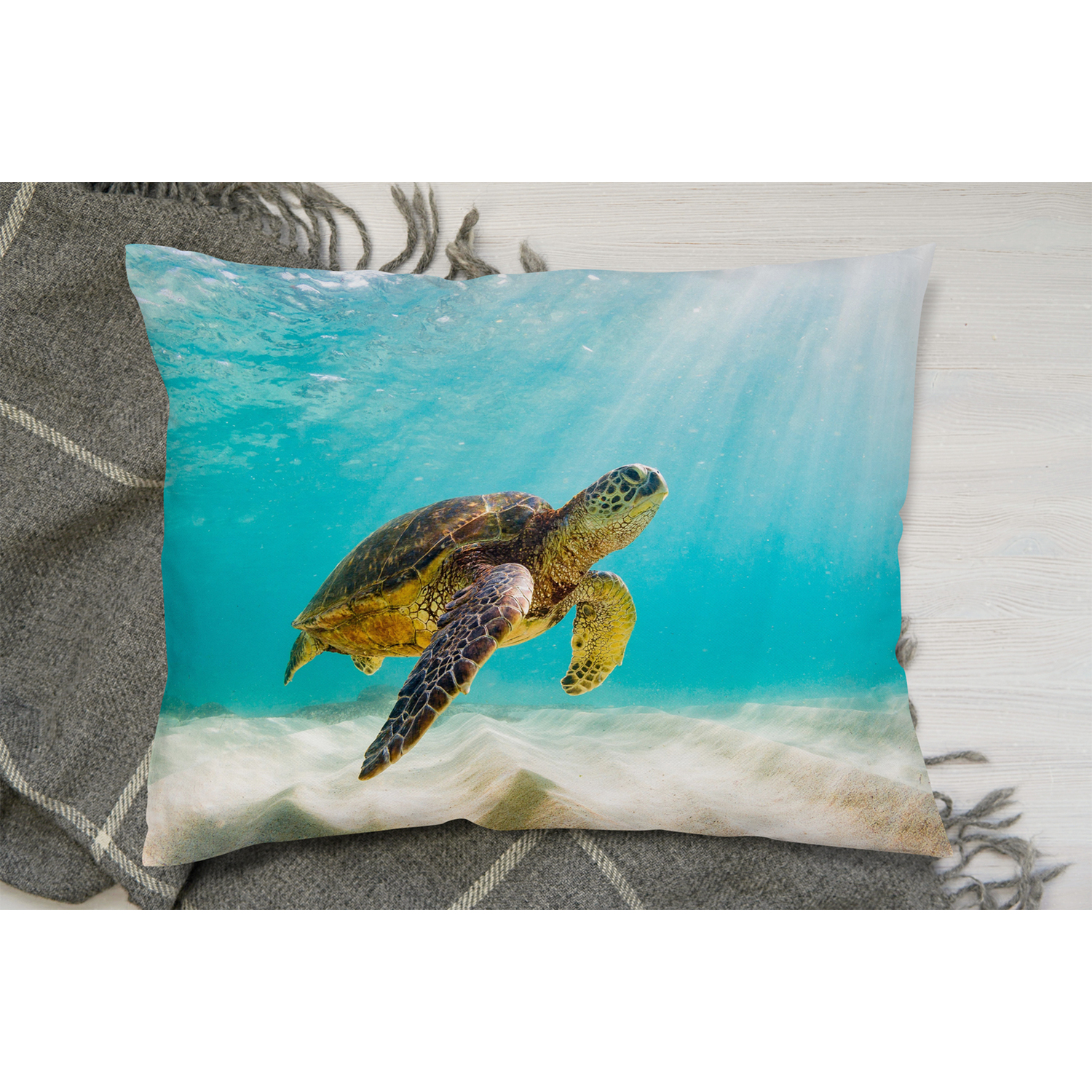 Photo Of Sea Turtle In The Galapagos Island Cushion - Blue