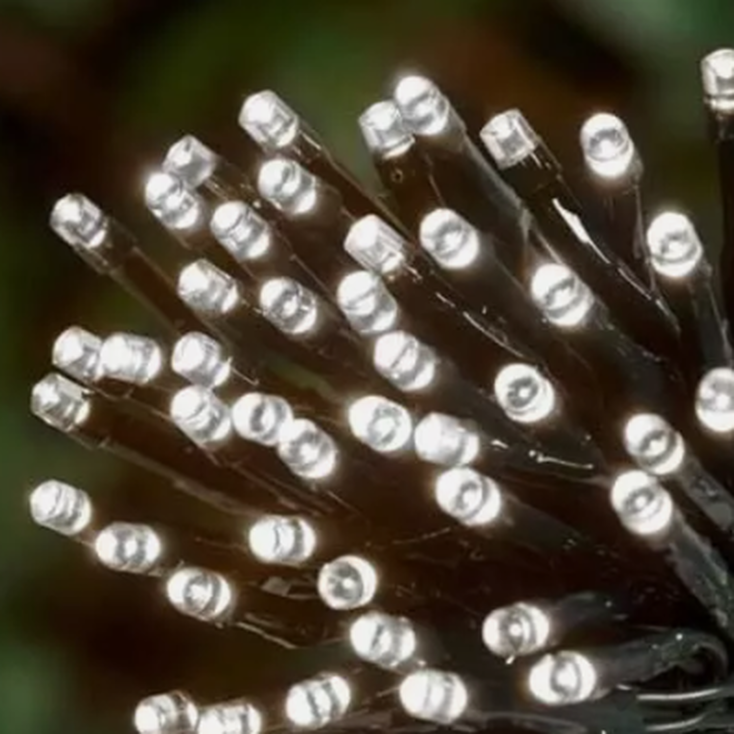 Image of White Solar Powered String LED Lights&hellip;
