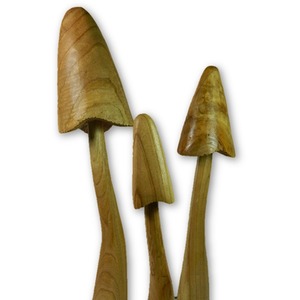 Set Of Three Wooden Mushrooms - Closed Natural