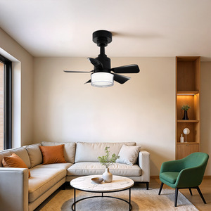 Stepless Dimming Remote-Controlled Ceiling Fan Light