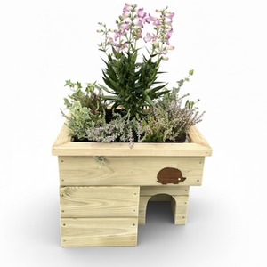 Hedgehog House With Planter Top