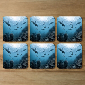 Schooling SharksWestern Australia Designer Coaster Set