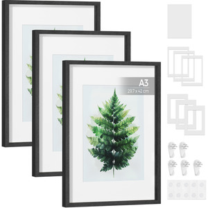  shot 12100824