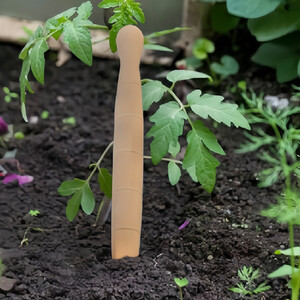 Wooden Dibber