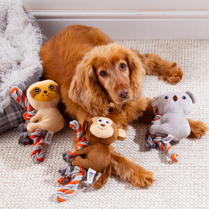 Tree Climber Rope Toy