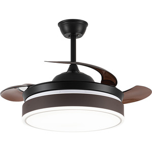 Modern Style Indoor Round Ceiling Fan with Light and Remote