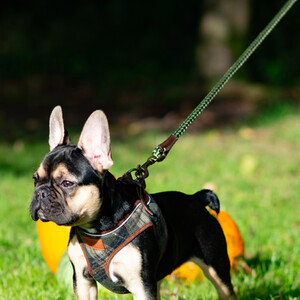 Heritage Rope Lead